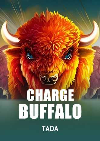 bet3333